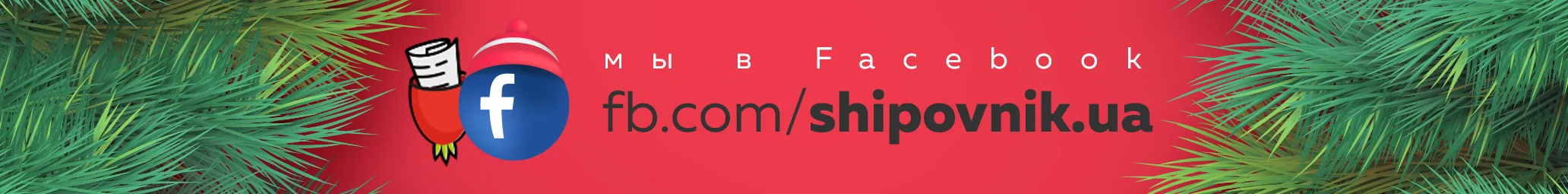 facebook shipovnik