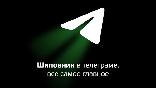 Telegram Logo