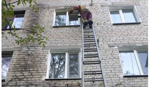 59887816_2350464898523503_1330563950424621056_n_16x9