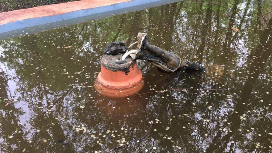 59987036_2136372336483223_2771700386480783360_n_16x9