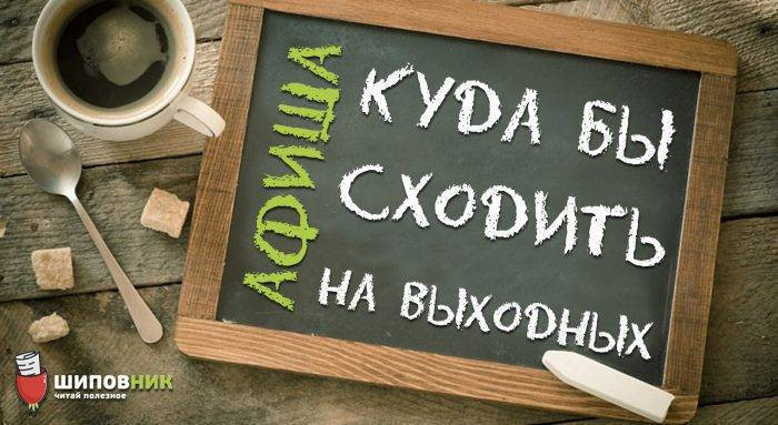 alLIgLOfBOo-700x383-1-700x383-1-700x383